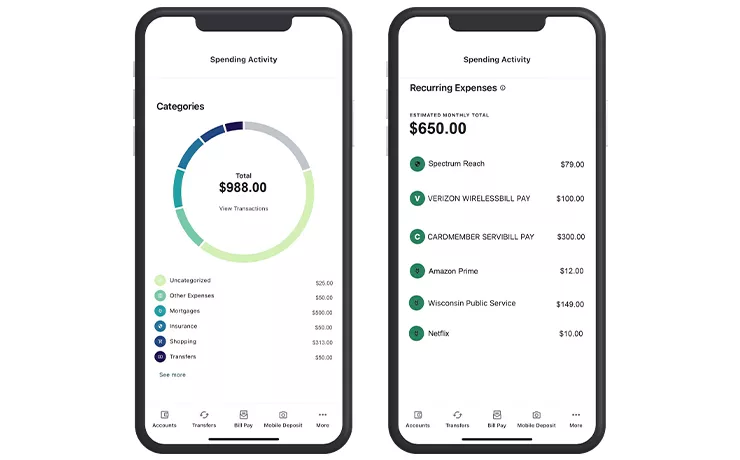 financial wellness tool on smartphone