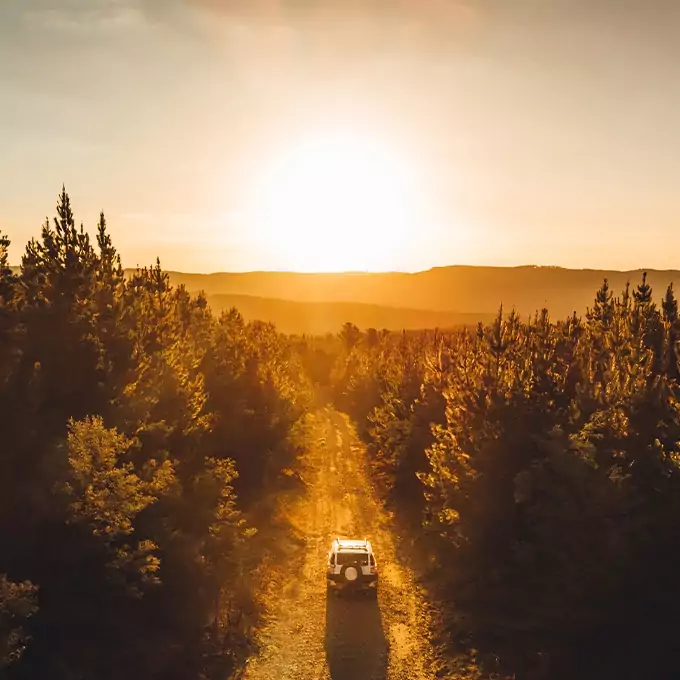 car driving into the sunset